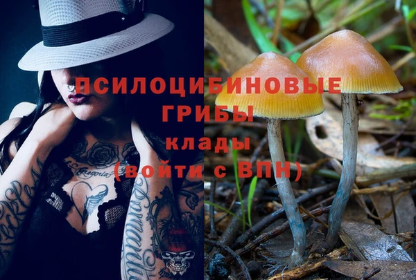 меф Богородицк